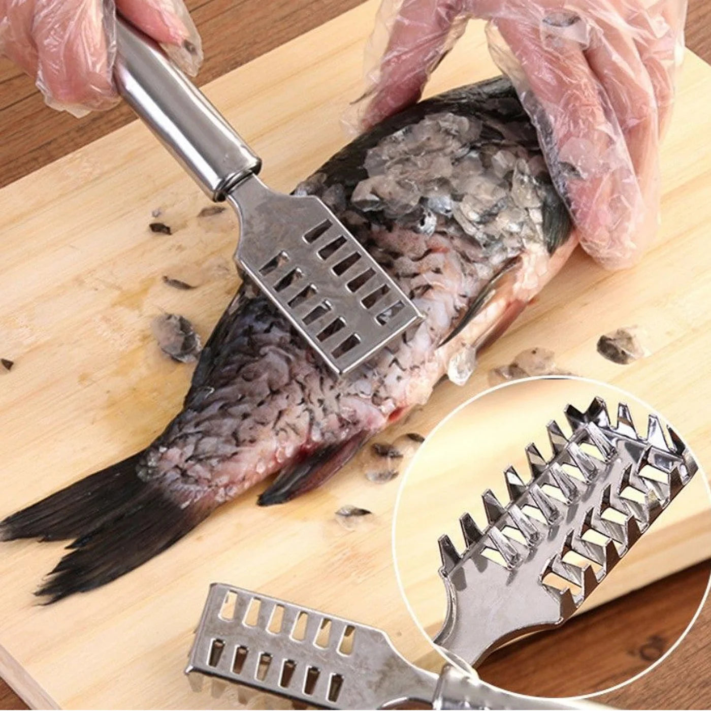 FishEase™ | Fish Scale Scraper (Set of 2)